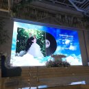 영상 | [W13] 캔바 셀프 식중영상 제작 후기