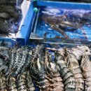 철이수산 - 구리시 딸기원로 98-13 | 철이수산