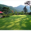 정원이 아름다운 집 이미지