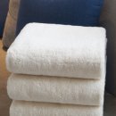 소프트올 이미지