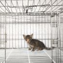 양서119지역대 이미지