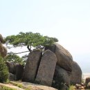 용봉산자연휴양림 이미지