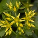 기린초등학교 이미지