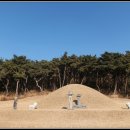 전사벌왕릉 이미지