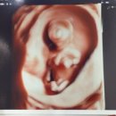 더미즈병원 이미지