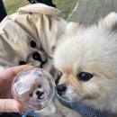 코모미공방