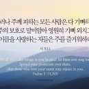 오늘의 '영어성경 사진'(334강) “하나님의 보호하심”(시편 5편 11절) 이미지