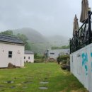 젤루느린달팽이 이미지