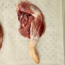 멍멍스푼 이미지