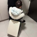 언니네PC | 아이와 여행 필수템 알리에서 산 타는 캐리어 솔직후기