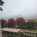 새들펜션민박 이미지