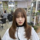 헤어두비취 이미지