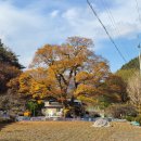 내2리경로당 이미지