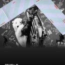 호동이 갈비 | 심심하다