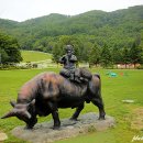 월드컵목장 이미지