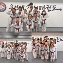 용인대 송라태권도장 이미지