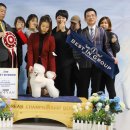 블루도그클럽 이미지