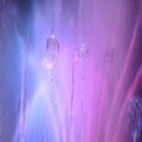 다대1동-30 이미지