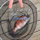서울바다낚시터 | 서울근교 대부도에서 어심바다낚시터 체험후기