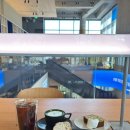 운중로225번길(판교공원로) | [분당/판교] 판교 브런치 추천 및 작업하기 좋은 카페 &#39;스테드패스트&#39; (메뉴 추천, 주차 정보)
