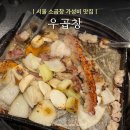 우끼리곱창 | 서울 소곱창 맛집 추천! 봉천역 우곱창 솔직후기