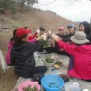 밀양농장 이미지