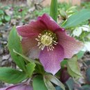 열창노래방 이미지