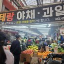 베테랑야채·과일
