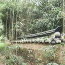 동춘당공원 이미지