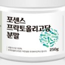 간병투게더 이미지