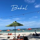 더 리얼사우스 | 보홀 여행 코스 추천｜오셔니카 리조트(사우스팜) 데이유즈 내돈내산 솔직 후기