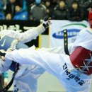 단국대 올림픽태권도 이미지