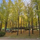 원적산공원 이미지