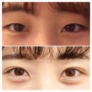 아름담의원 이미지