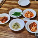 세원뼈다귀 이미지