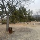 경주초우오토캠핑장 이미지