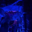 호수체육관 | 야간개장 예약 방문 후기_부천호수식물원 수피아