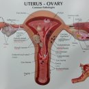 바른손한의원 이미지