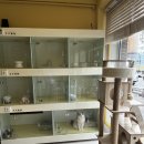 야옹아놀자 순천점 이미지