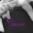 아쿠아동물병원 이미지