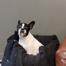 보듬보듬 이미지