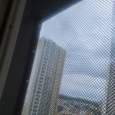 수원-0833 이미지