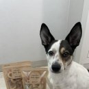 벨라스키친 이미지