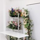 송파제일주유소(셀프) | [잠실/셀프사진관] 만삭촬영 스튜디오 오늘,예쁨 후기