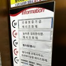 호라마트 이미지