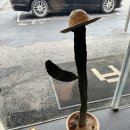 원영공인중개사사무소 이미지