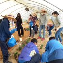 종국농장 이미지