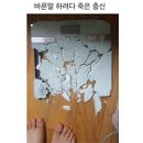낙지대장 이미지