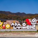 제1종합관광안내소 이미지