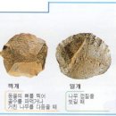 관광통역안내사_국사 네이버블로그